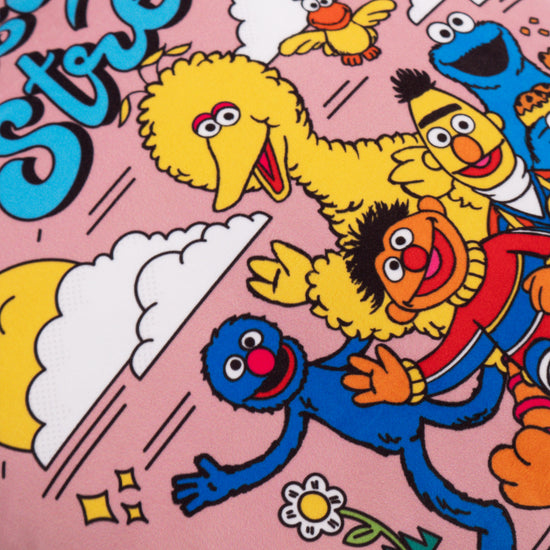 Párnahuzat 47 x 47cm - Sesame Street Since 1969 03