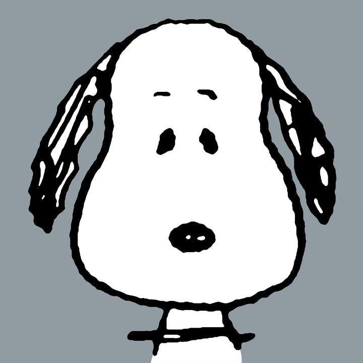 Snoopy Magas Háttámlájú Olvasópárna - Nagy Snoopy 03