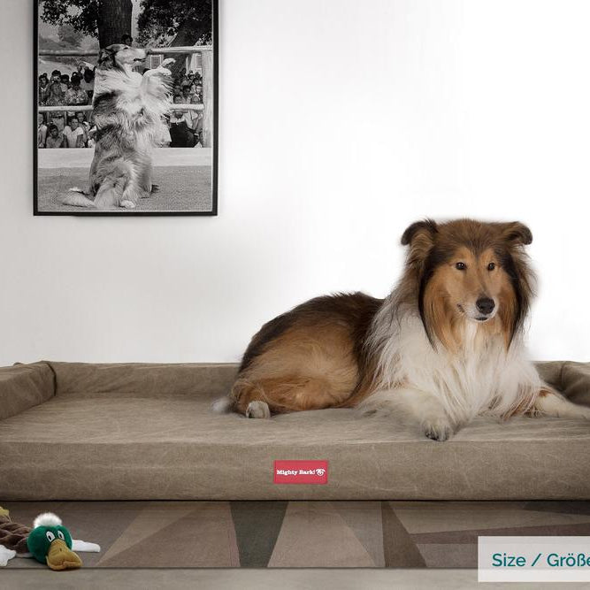 Mighty Bark, A Pad - Ortopédiai memóriahabos kutyaágy, nagy, közepes, XXL - Kőmosott Denimvászon Föld