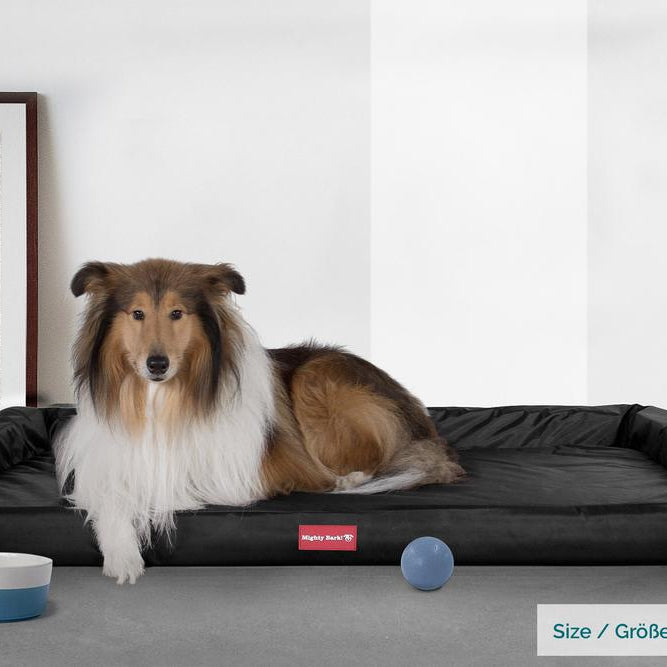 Mighty Bark, A Pad - Ortopédiai memóriahabos kutyaágy, nagy, közepes, XXL - Vízálló Fekete