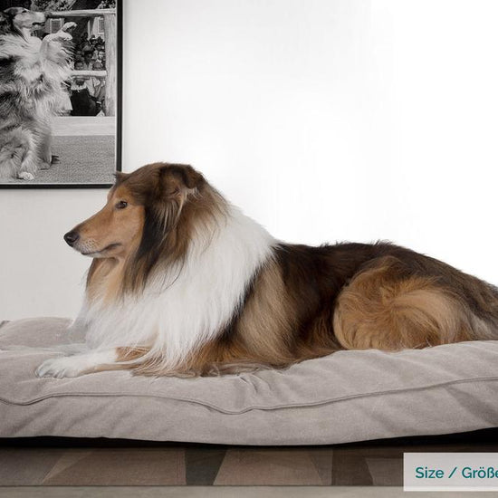 Mighty Bark, A Matrac - Ortopédiai klasszikus memóriahabos kutyaágy-párna kisállatok számára, nagyméretű, XXL - Kőmosott Denimvászon Ón
