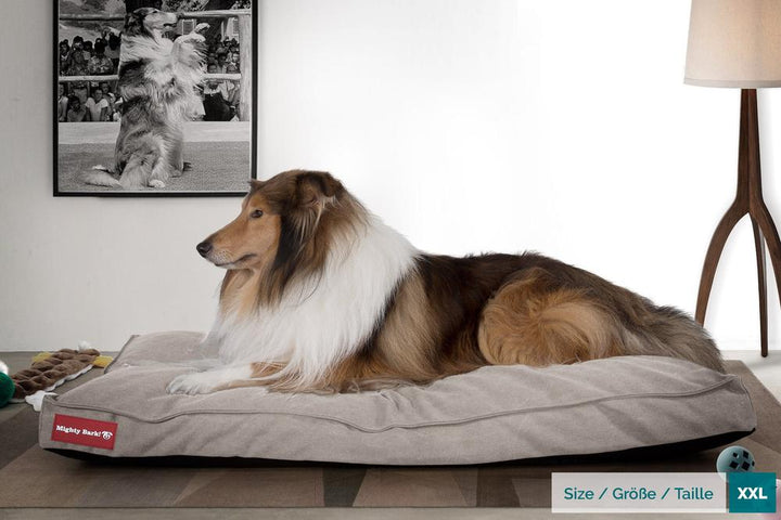 Mighty Bark, A Matrac - Ortopédiai klasszikus memóriahabos kutyaágy-párna kisállatok számára, nagyméretű, XXL - Kőmosott Denimvászon Ón