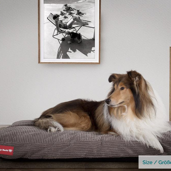 Mighty Bark, A Matrac - Ortopédiai klasszikus memóriahabos kutyaágy-párna kisállatok számára, nagyméretű, XXL - Pompon Szénfekete