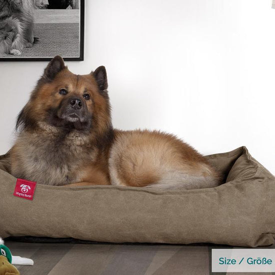 Mighty Bark, A Fészek - Ortopédiai memóriahabos kutyaágy-kosár kisállatok számára, kicsi, közepes, nagy - Kőmosott Denimvászon Föld