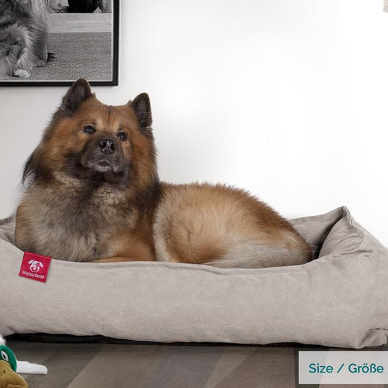 Mighty Bark, A Fészek - Ortopédiai memóriahabos kutyaágy-kosár kisállatok számára, kicsi, közepes, nagy - Kőmosott Denimvászon Ón