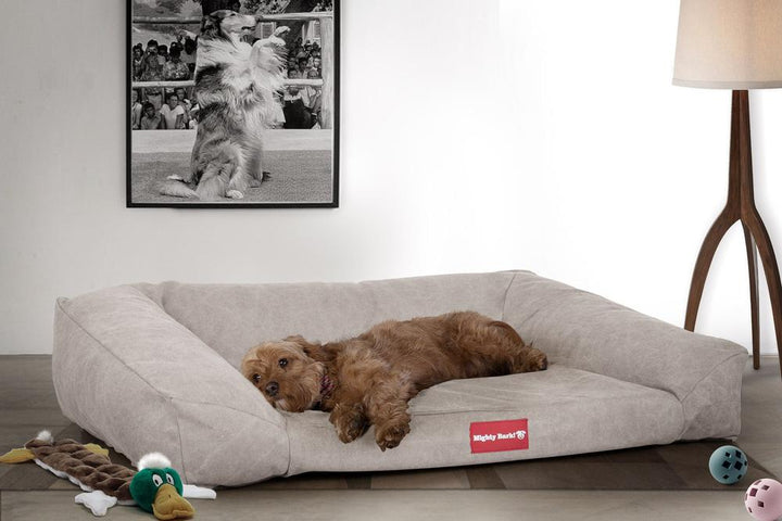 Mighty Bark, A Kanapé - Ortopédiai memóriahabos kutyaágy-kanapé, nagy, közepes, XXL - Kőmosott Denimvászon Ón